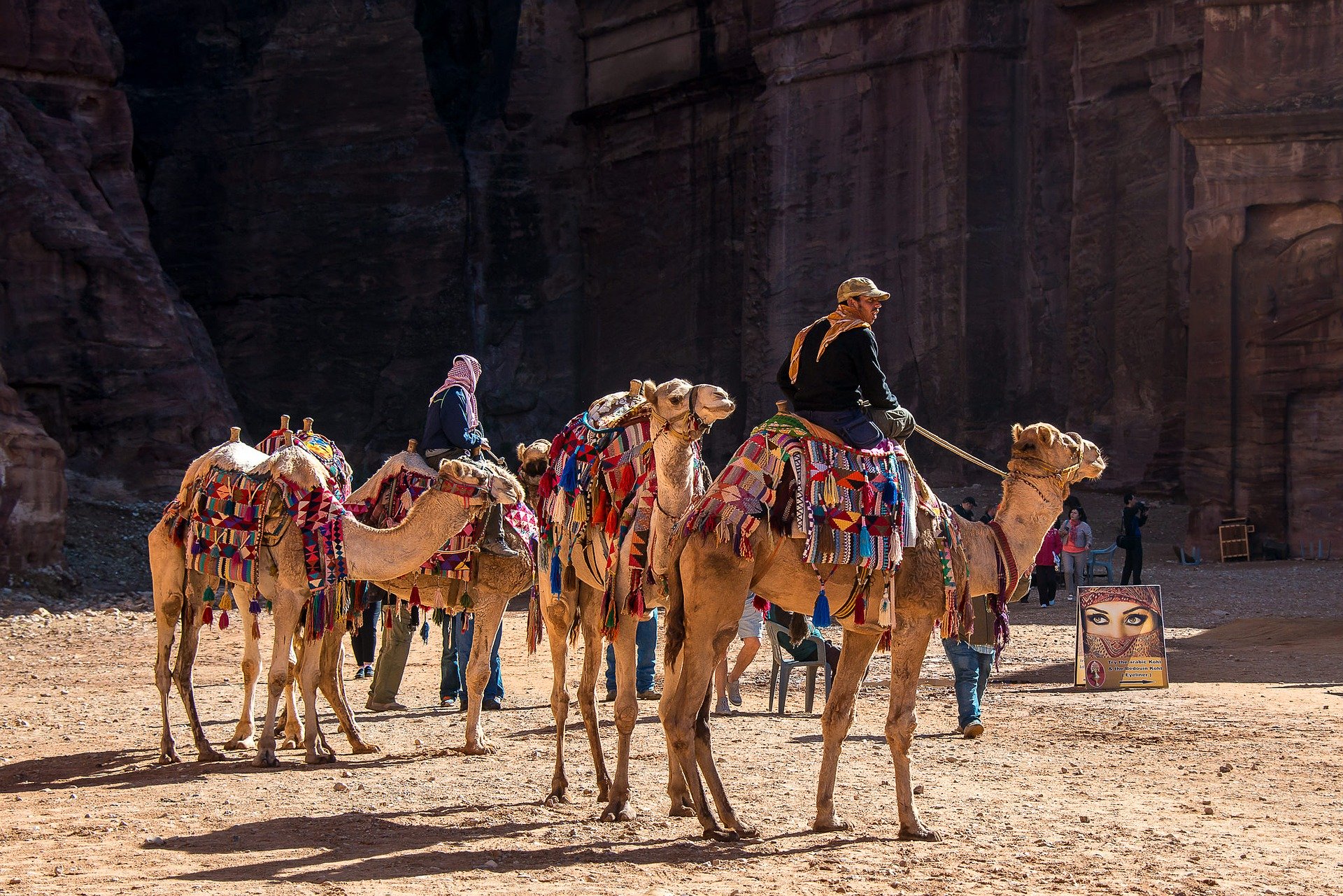 Camel Ride Experience