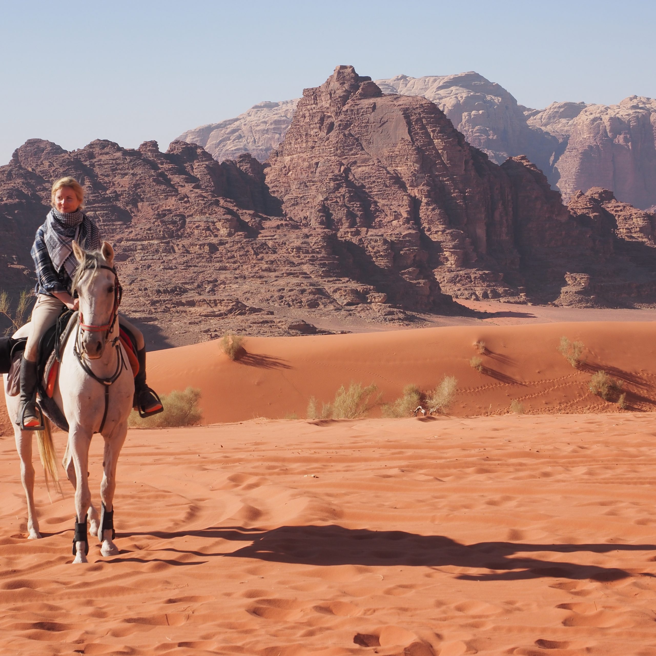 Petra and Wadi Rum Horseback Tour