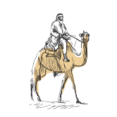 Travel Your Way