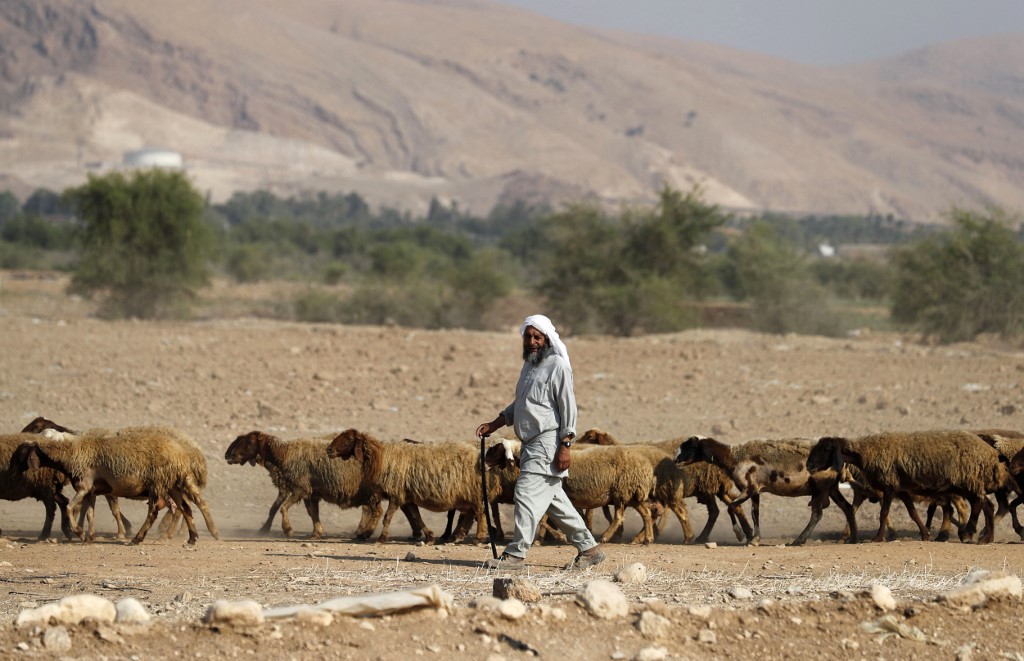 Spend a Day with Shepherd Experience