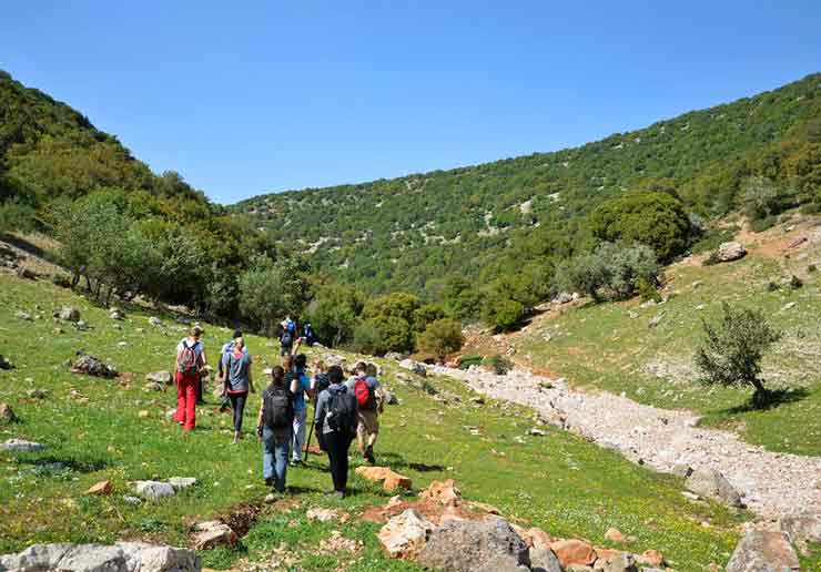 Hike through Ajloun Reserve – The Jordan Trail.