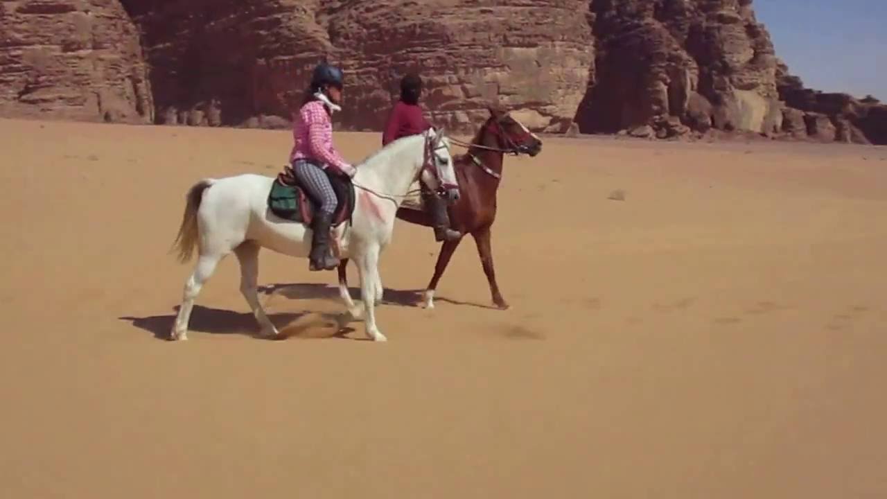 Horse Riding from Petra to Wadi Rum