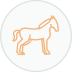 Horse Riding Tours