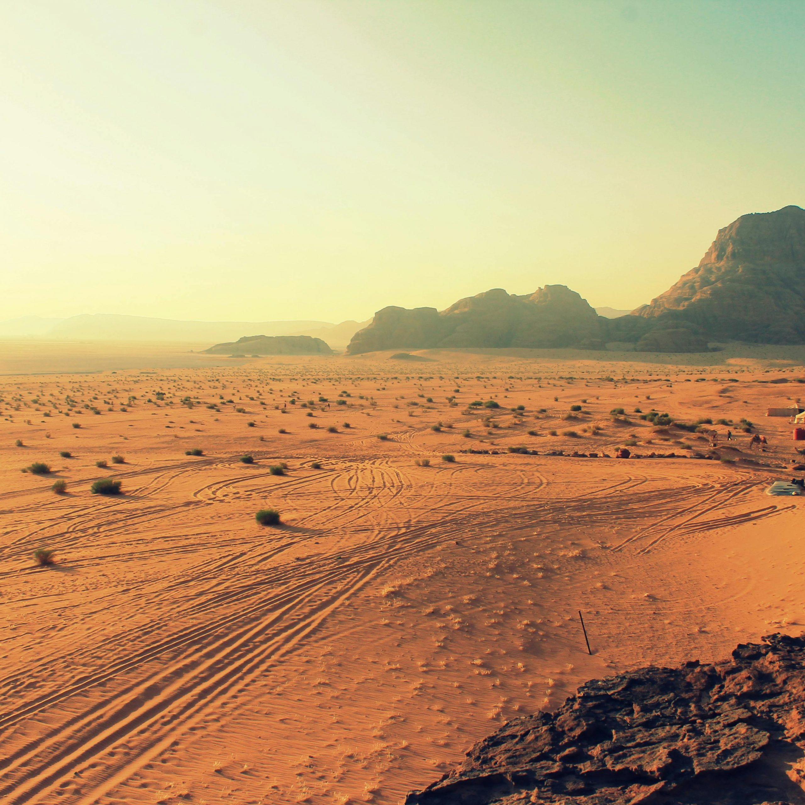 The Rise of Eco-Tourism in Wadi Rum, Jordan
