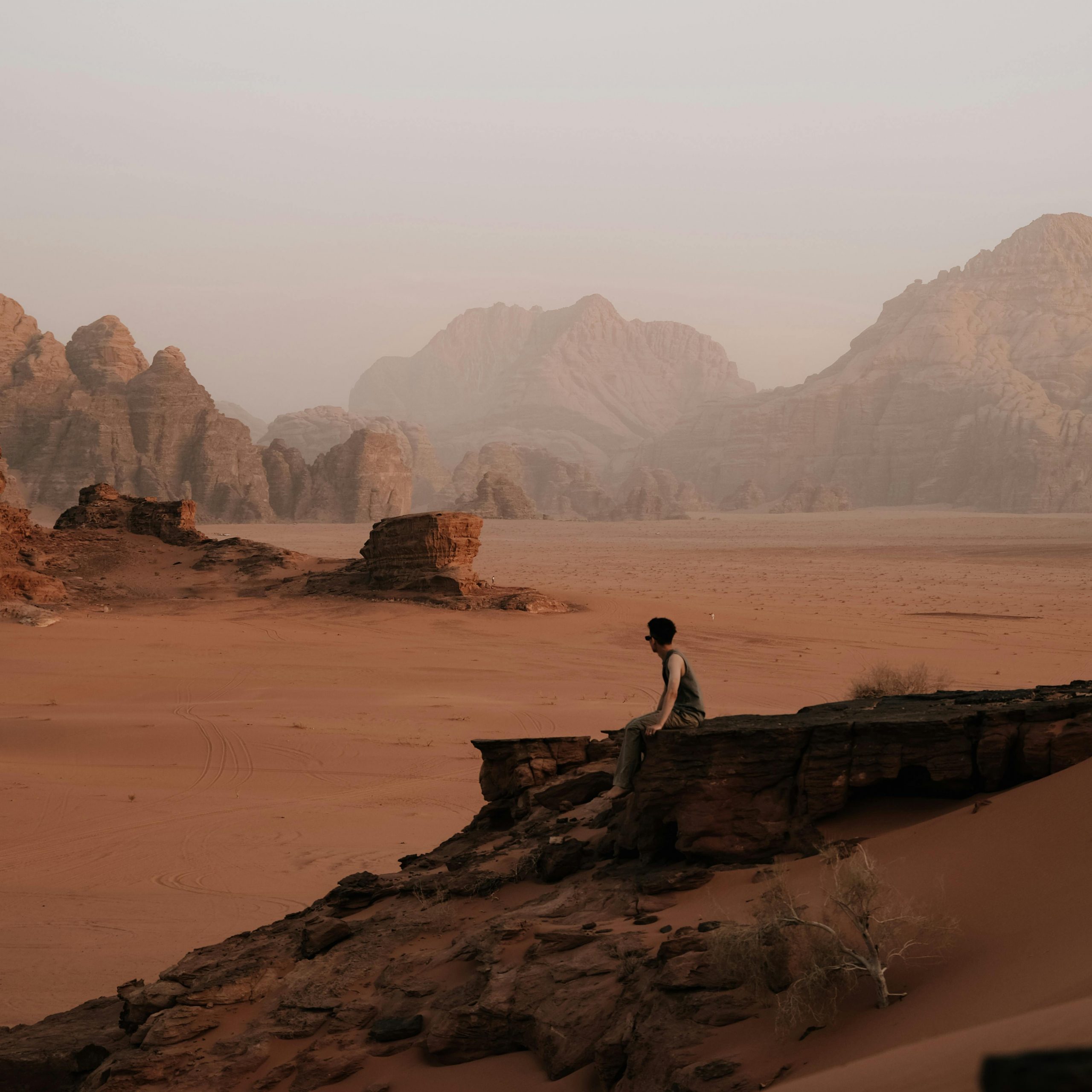 The Open Gateway: Why Jordan’s Air Corridor is the Region’s Most Reliable Hub