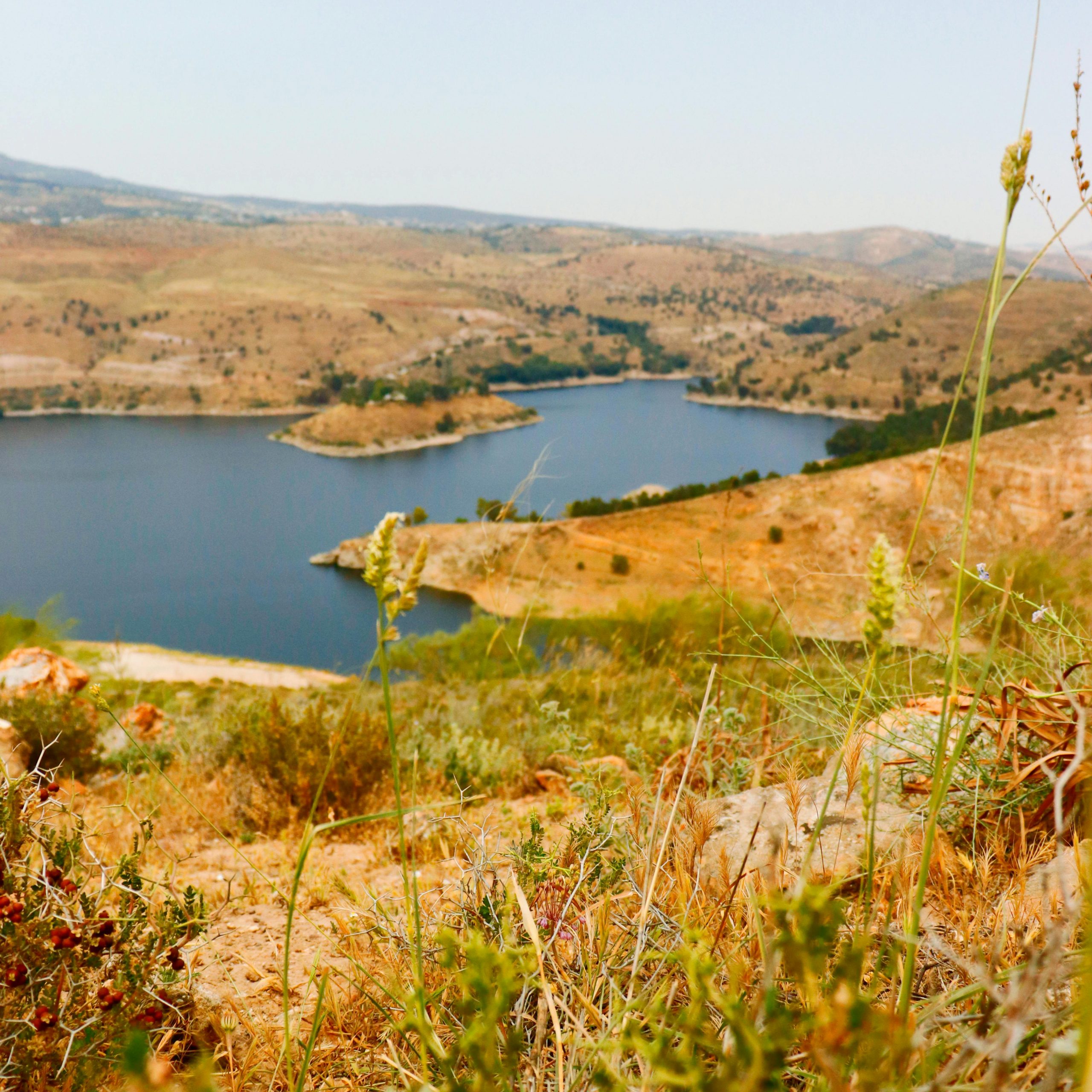 Summer in Jordan Through a Local’s Eyes: The Hours Tourists Never See