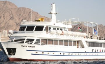 Pharaoh Island  Cruise