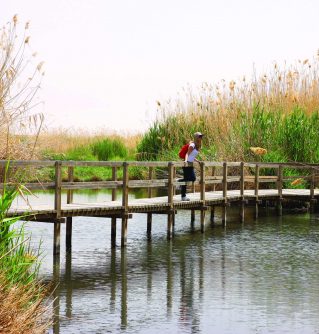 Azraq Wetlands Reserve