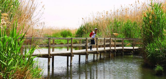 Azraq Wetlands Reserve