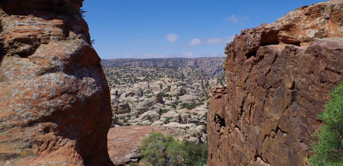 Dana Biosphere Reserve