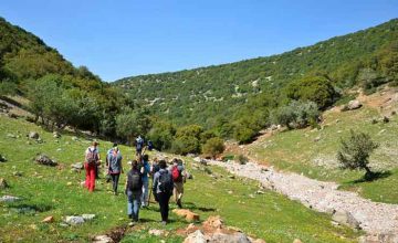 Hike through Ajloun Reserve – The Jordan Trail.
