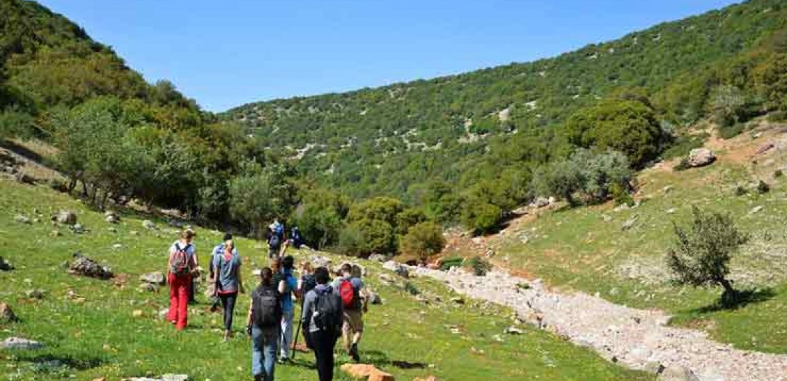 Special Interest Tours