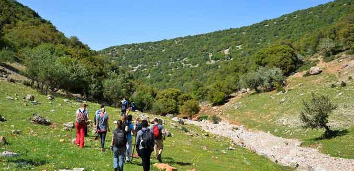 Hike through Ajloun Reserve – The Jordan Trail.