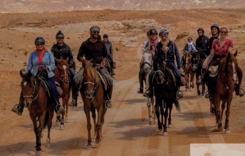 Horseback Riding Through Wadi Rum and Petra