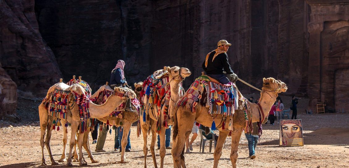 Camel Ride Experience
