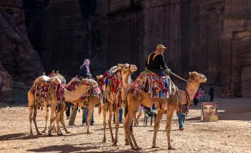 Camel Ride Experience