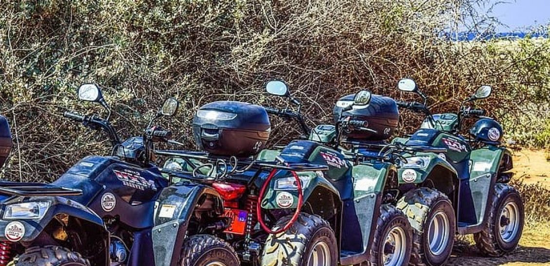 Special Interest Tours
