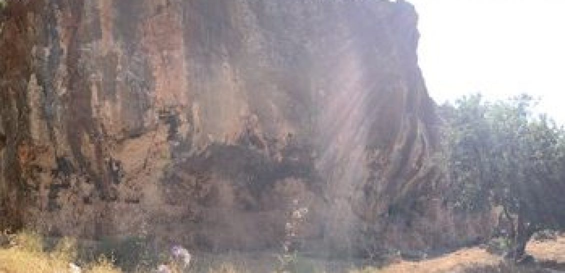 Special Interest Tours