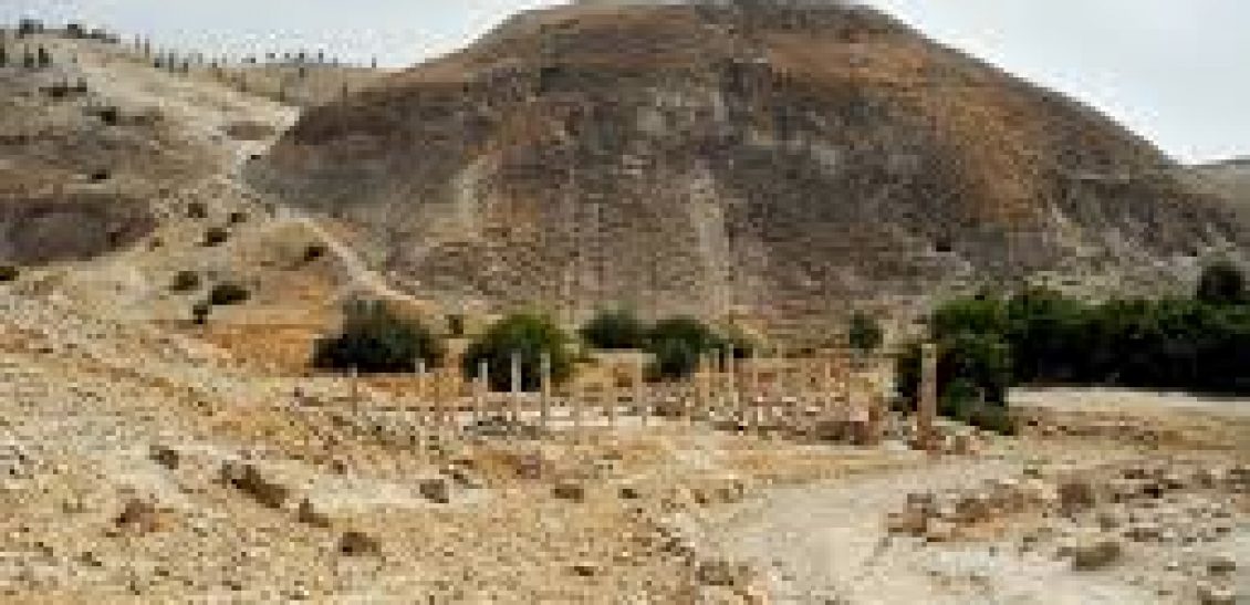 Special Interest Tours