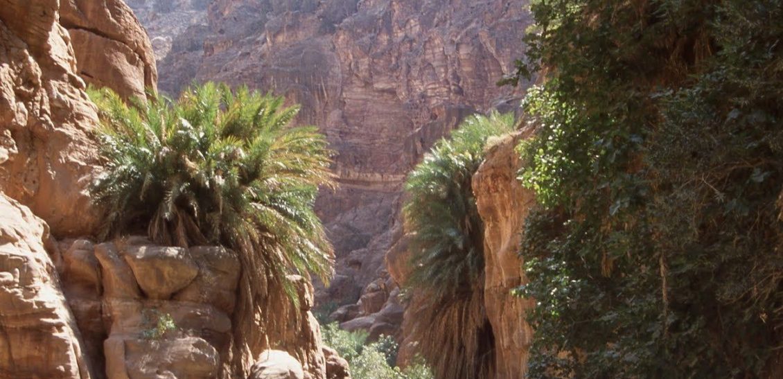 Wadi Ghweir Trail