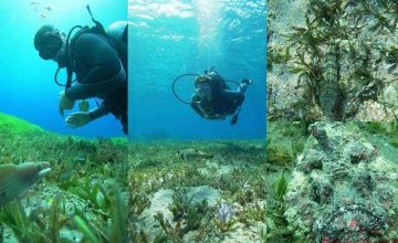 Snorkeling to clean the Red Sea